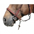 LightRider Leather Bitless Noseband